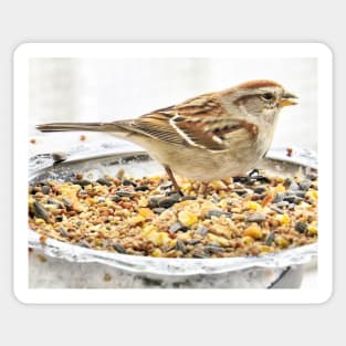 Silver Banquet Sparrow Sticker